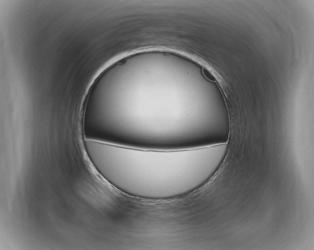 X0000115711534200911120953