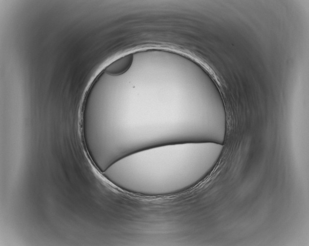 X0000115711535200911120953