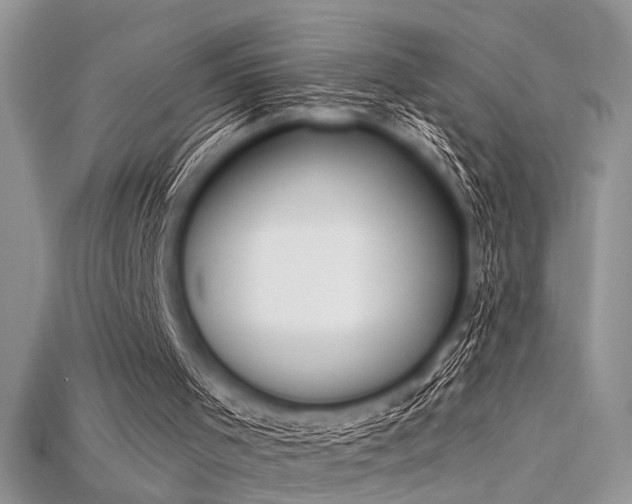 X0000115710001200911121435