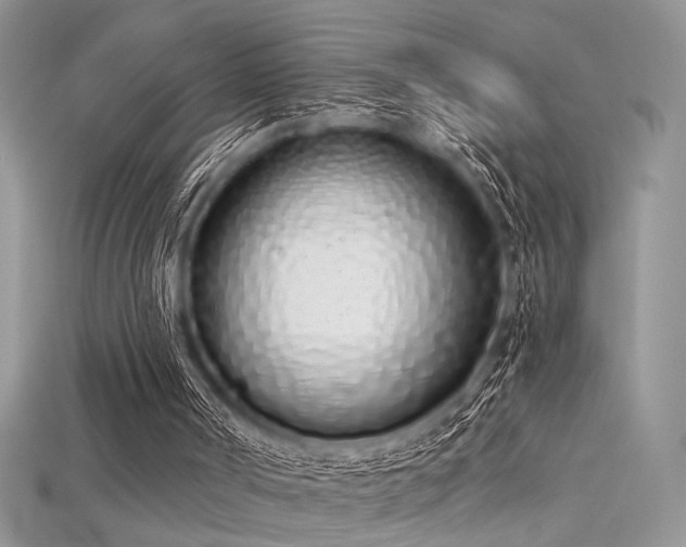 X0000115710002200911121435