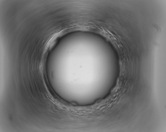 X0000115710003200911121435