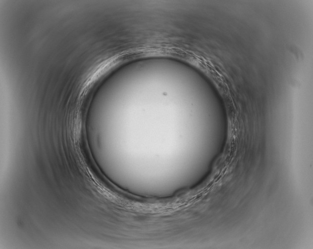 X0000115710005200911121435