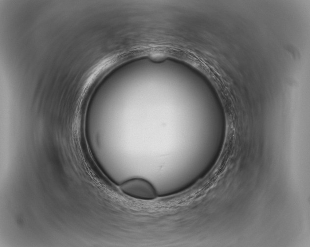 X0000115710006200911121435