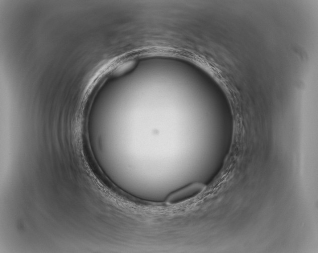 X0000115710007200911121435