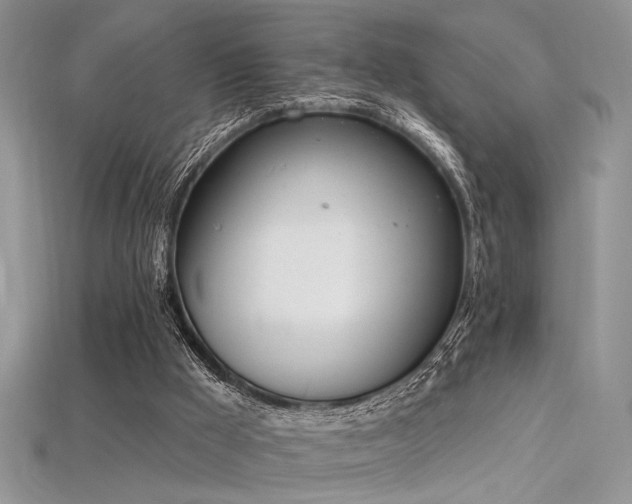 X0000115710009200911121435