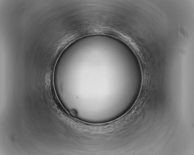 X0000115710010200911121435