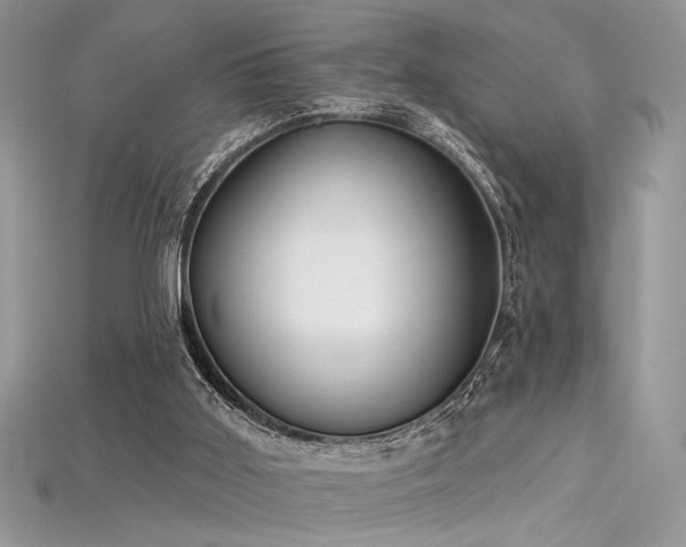 X0000115710011200911121435