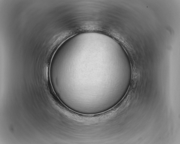 X0000115710014200911121435