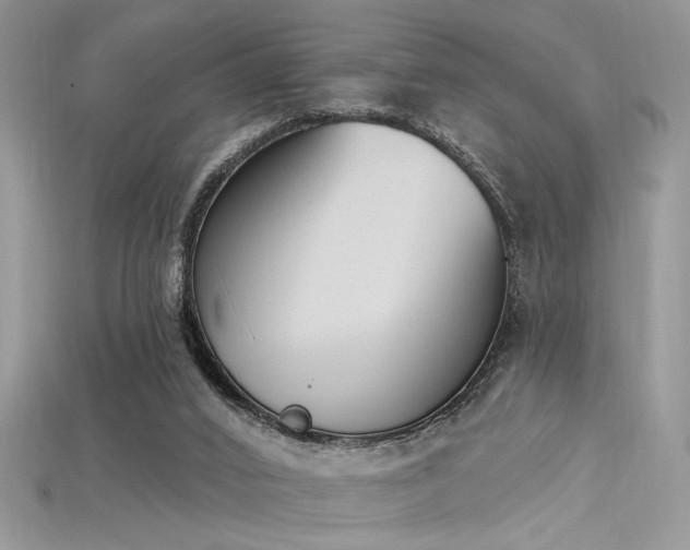 X0000115710016200911121435