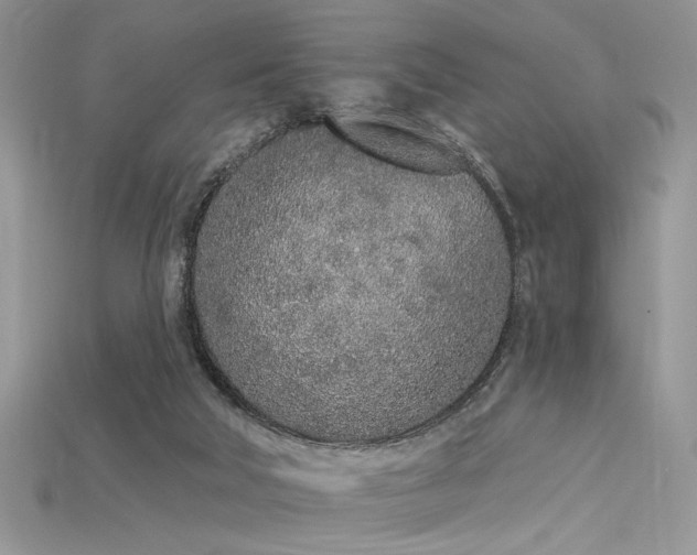 X0000115710018200911121435