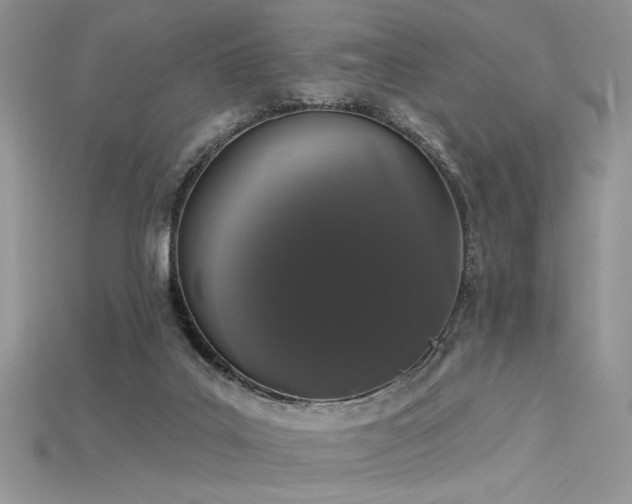 X0000115710019200911121435