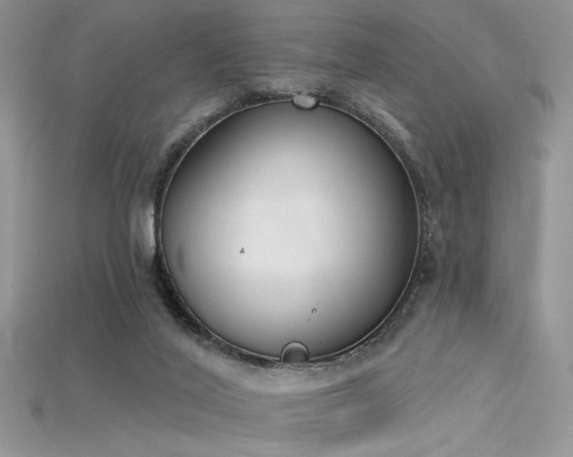 X0000115710020200911121435