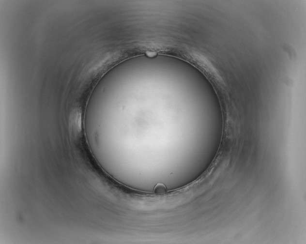 X0000115710021200911121435