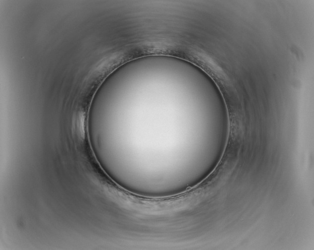 X0000115710022200911121435