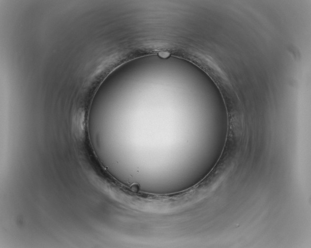 X0000115710024200911121435