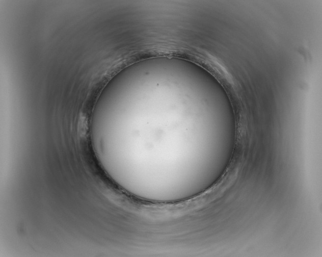 X0000115710025200911121435