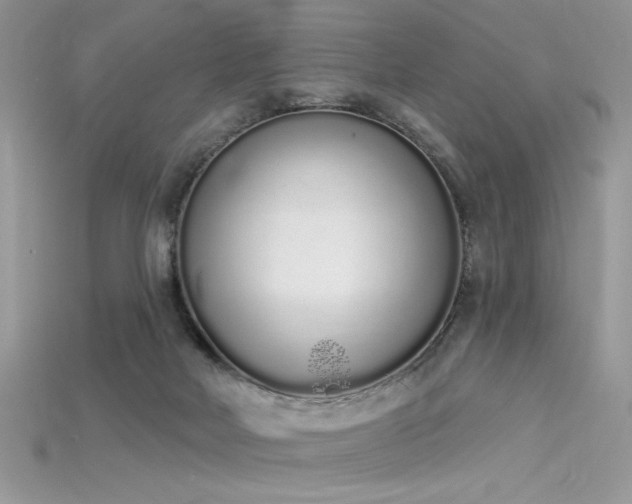 X0000115710026200911121435