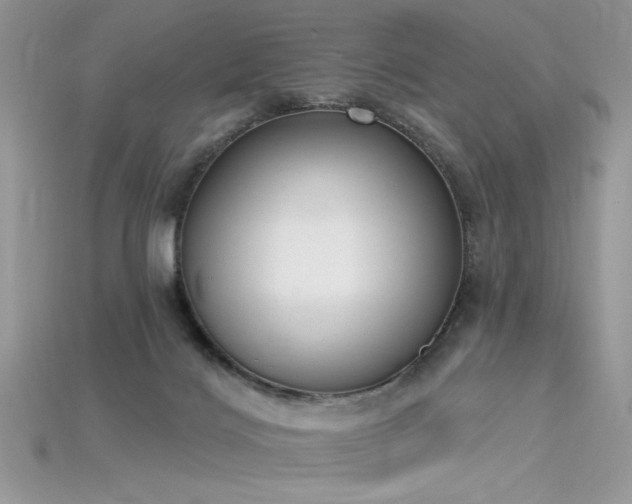 X0000115710028200911121435