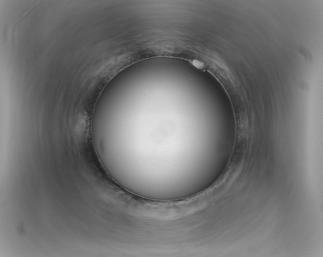 X0000115710029200911121435