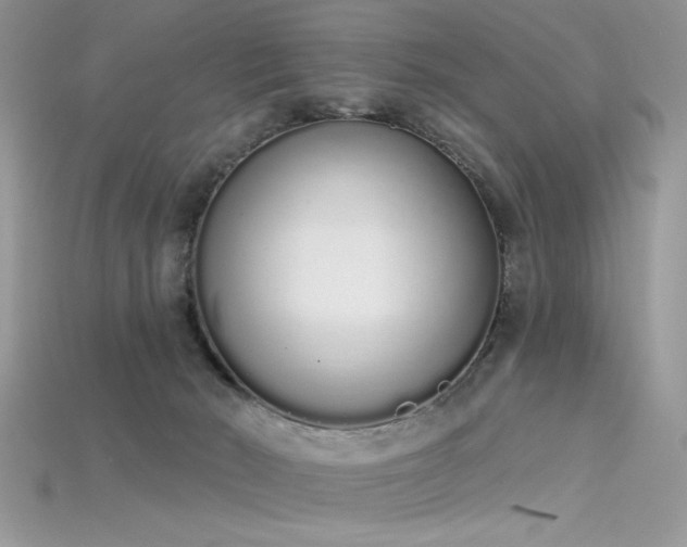 X0000115710030200911121435