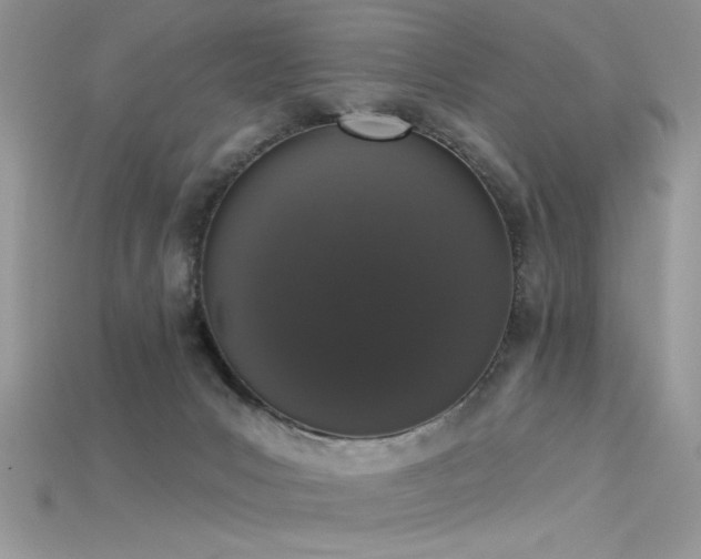 X0000115710031200911121435