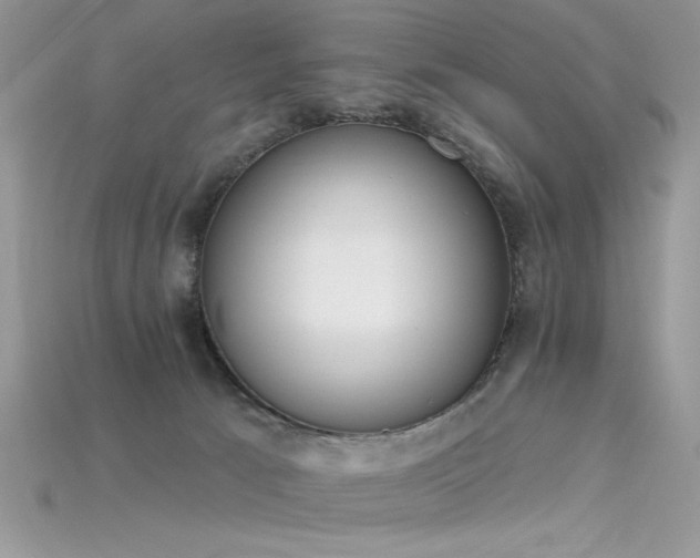 X0000115710033200911121435