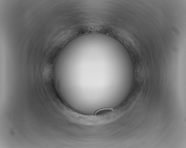 X0000115710034200911121435