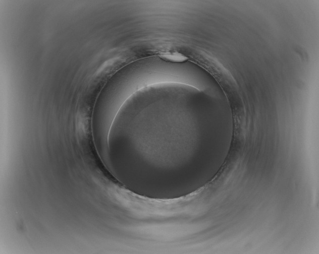 X0000115710035200911121435