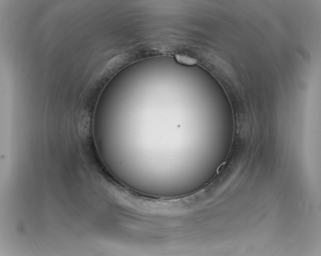 X0000115710036200911121435