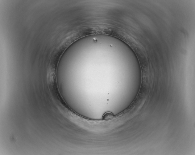 X0000115710038200911121434