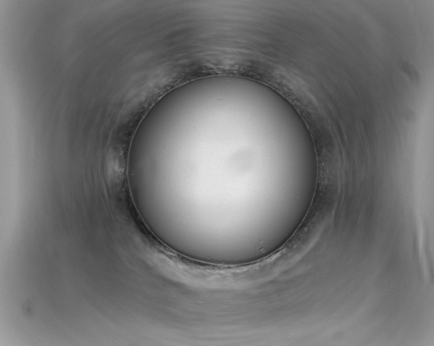 X0000115710040200911121434