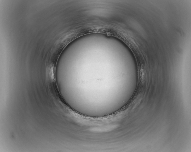 X0000115710042200911121434