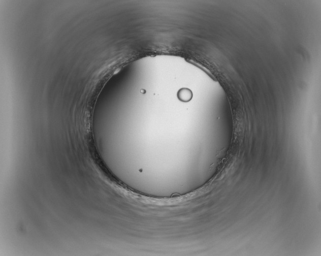 X0000115710043200911121434