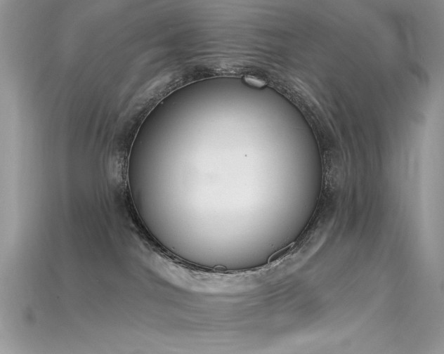 X0000115710044200911121434