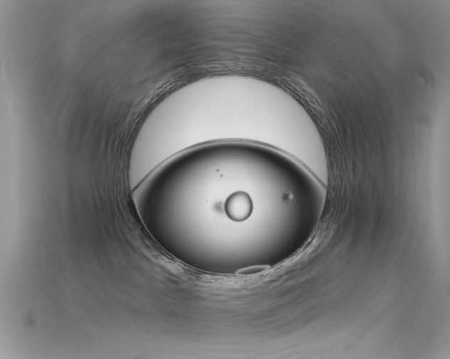 X0000115710045200911121434