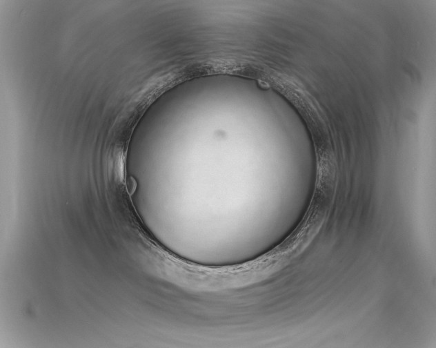 X0000115710046200911121434