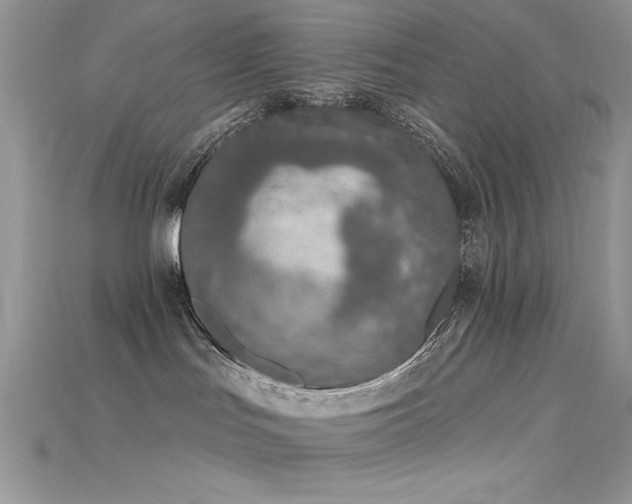 X0000115710047200911121434