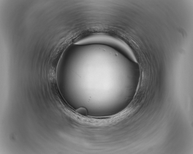 X0000115710048200911121434