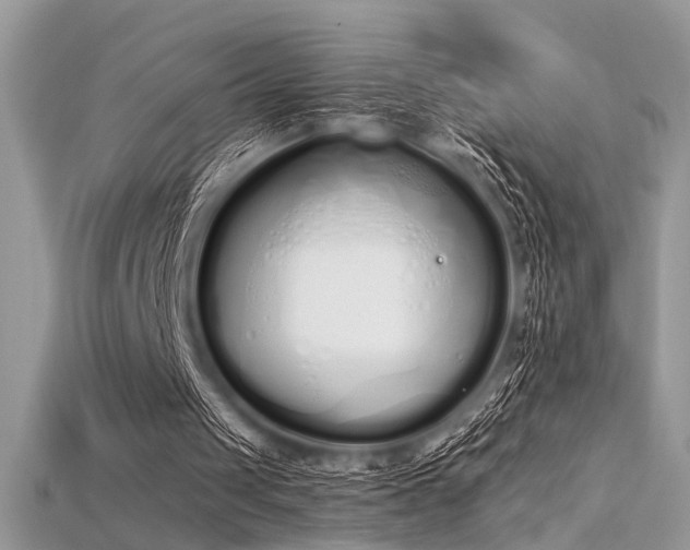 X0000115710049200911121434