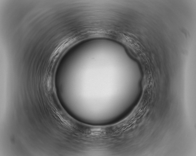 X0000115710050200911121434