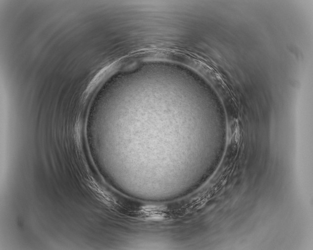 X0000115710051200911121434