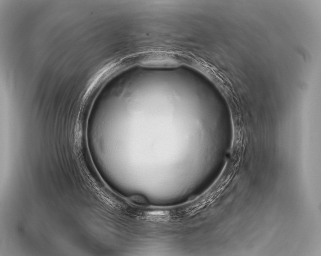 X0000115710053200911121434