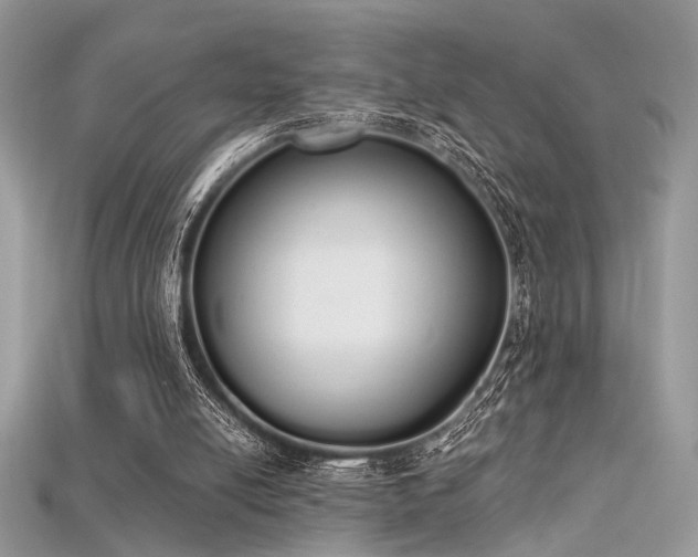 X0000115710054200911121434