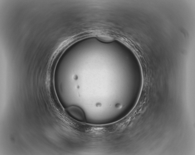 X0000115710055200911121434