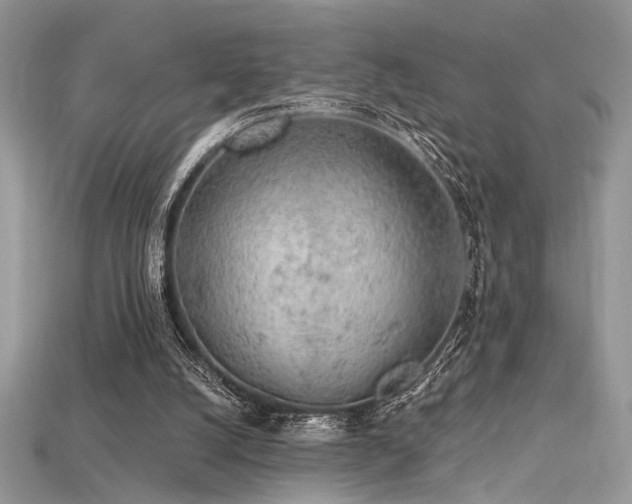 X0000115710056200911121434