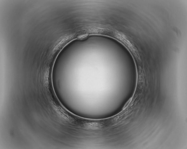 X0000115710058200911121434