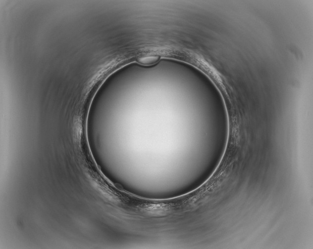 X0000115710059200911121434