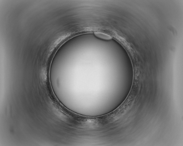 X0000115710060200911121434