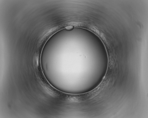 X0000115710062200911121434