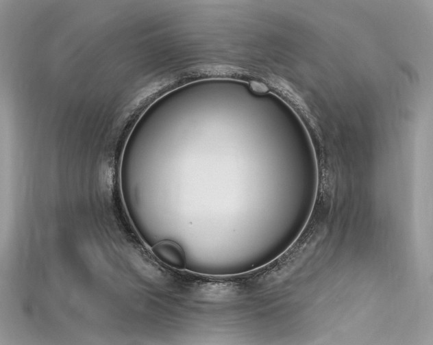 X0000115710063200911121434